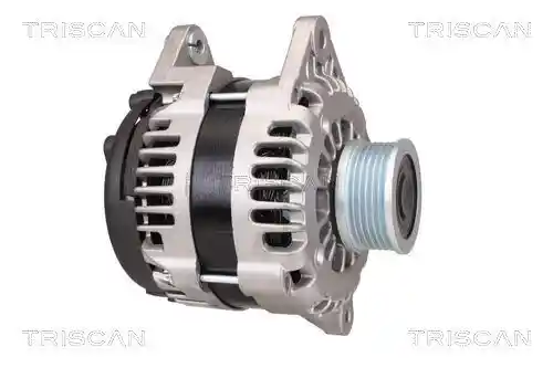 TRISCAN 8310 10048 TRISCAN 8310 10048