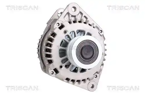 TRISCAN 8310 10048 TRISCAN 8310 10048