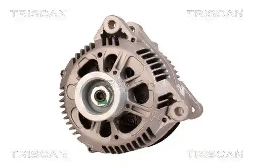 TRISCAN 8310 10077 TRISCAN 8310 10077