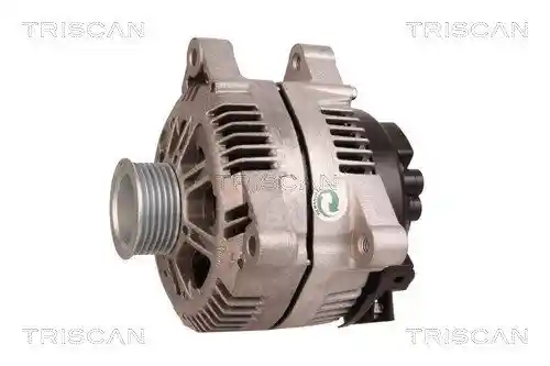 TRISCAN 8310 10077 TRISCAN 8310 10077