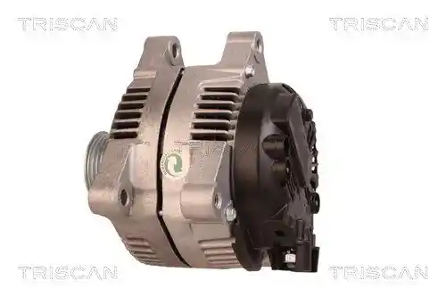 TRISCAN 8310 10077 TRISCAN 8310 10077