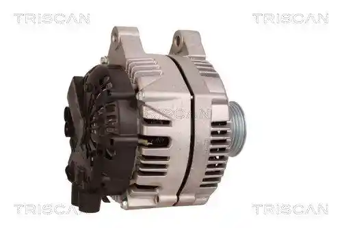 TRISCAN 8310 10077 TRISCAN 8310 10077