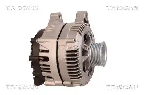 TRISCAN 8310 10077 TRISCAN 8310 10077