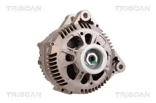 TRISCAN 8310 10077 TRISCAN 8310 10077