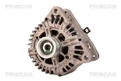TRISCAN 8310 10080 TRISCAN 8310 10080