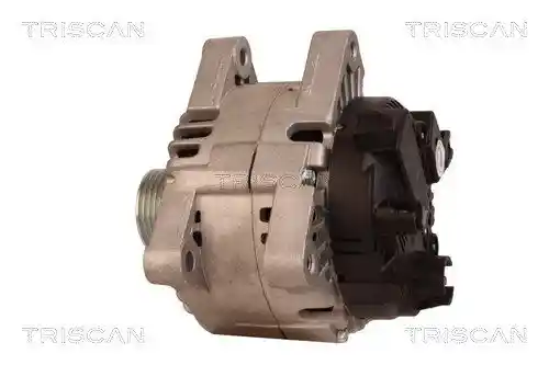 TRISCAN 8310 10080 TRISCAN 8310 10080