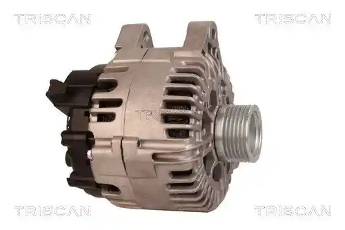 TRISCAN 8310 10080 TRISCAN 8310 10080