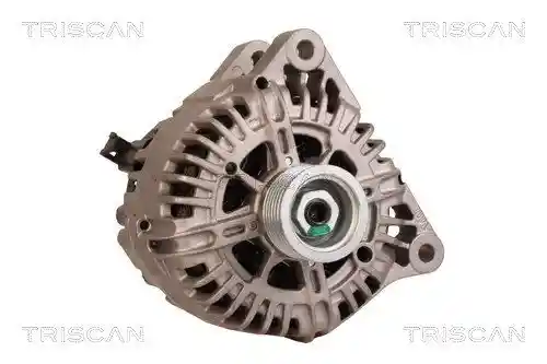 TRISCAN 8310 10080 TRISCAN 8310 10080