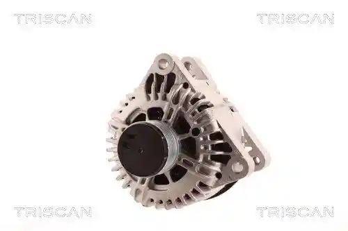 TRISCAN 8310 10081 TRISCAN 8310 10081