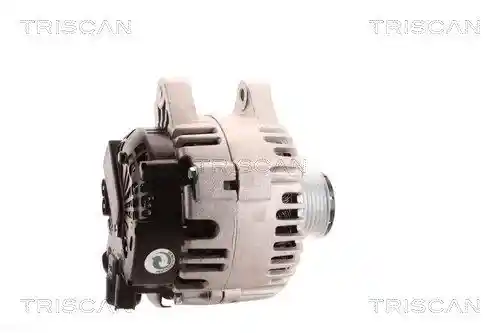 TRISCAN 8310 10081 TRISCAN 8310 10081