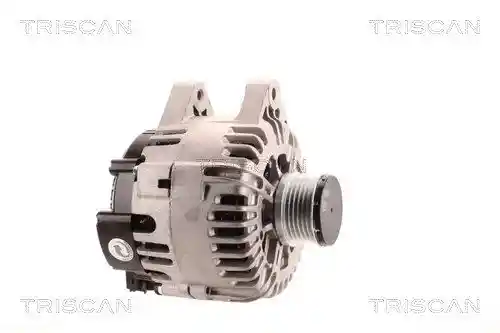 TRISCAN 8310 10081 TRISCAN 8310 10081