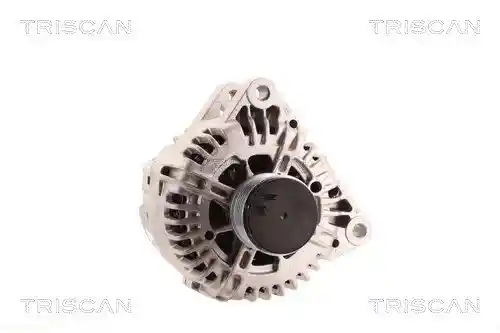 TRISCAN 8310 10081 TRISCAN 8310 10081