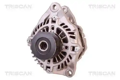 TRISCAN 8310 10090