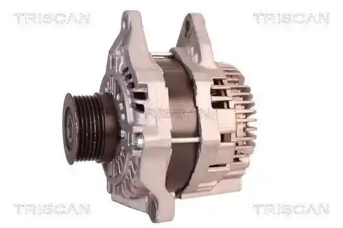 TRISCAN 8310 10090