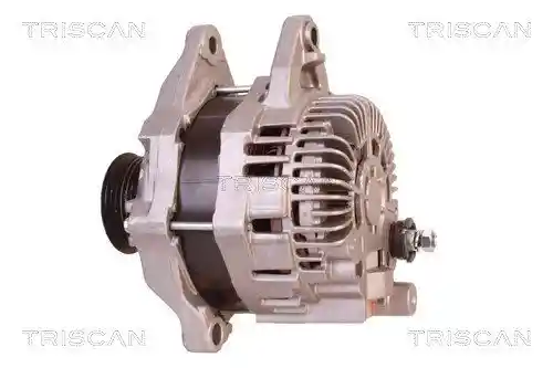 TRISCAN 8310 10090