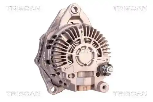 TRISCAN 8310 10090