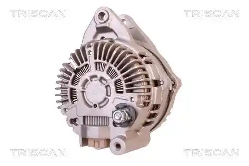 TRISCAN 8310 10090