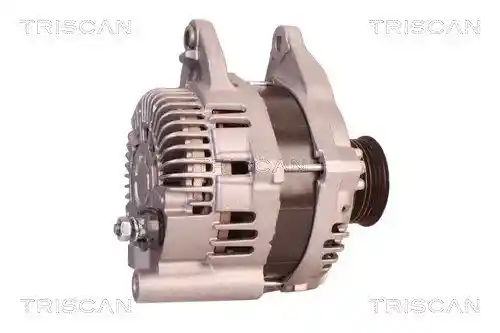 TRISCAN 8310 10090