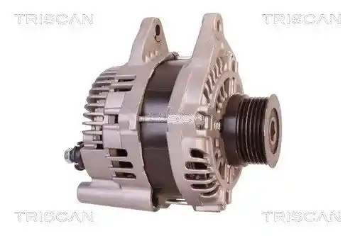TRISCAN 8310 10090