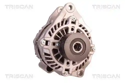 TRISCAN 8310 10090