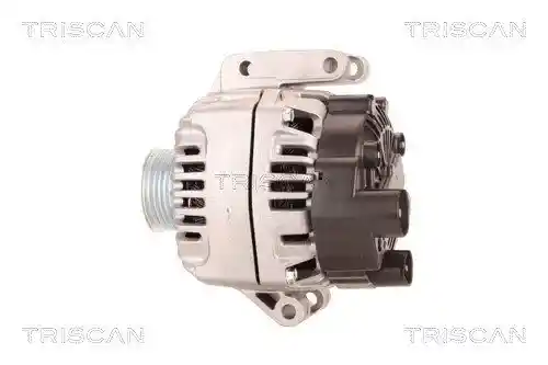 TRISCAN 8310 10116 TRISCAN 8310 10116