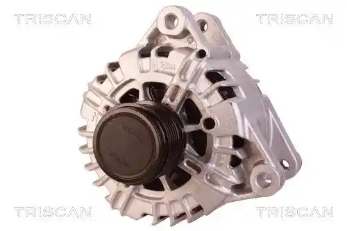 TRISCAN 8310 10134 TRISCAN 8310 10134