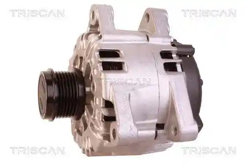 TRISCAN 8310 10134 TRISCAN 8310 10134