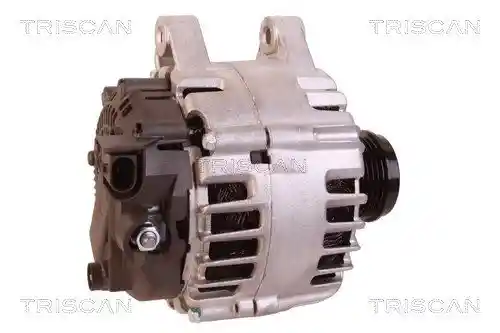 TRISCAN 8310 10134 TRISCAN 8310 10134