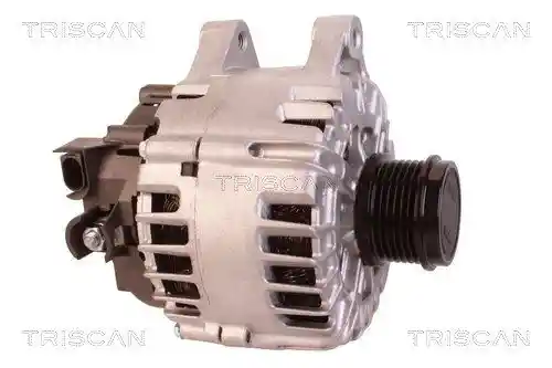 TRISCAN 8310 10134 TRISCAN 8310 10134