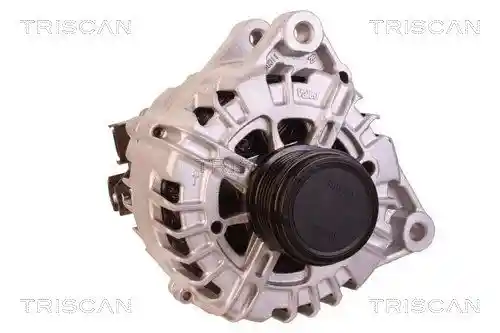 TRISCAN 8310 10134 TRISCAN 8310 10134