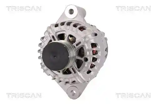 TRISCAN 8310 10170