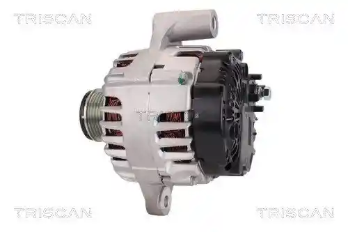 TRISCAN 8310 10170