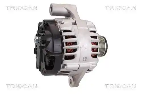 TRISCAN 8310 10170