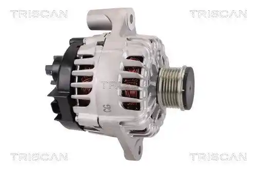 TRISCAN 8310 10170