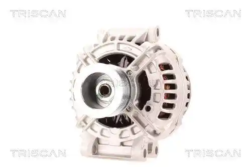 TRISCAN 8310 10181 TRISCAN 8310 10181