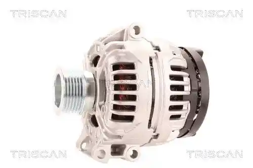 TRISCAN 8310 10181 TRISCAN 8310 10181