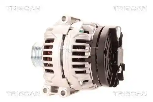 TRISCAN 8310 10181 TRISCAN 8310 10181