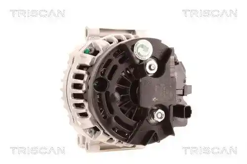 TRISCAN 8310 10181 TRISCAN 8310 10181