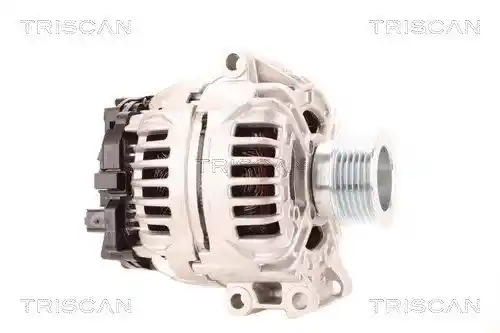 TRISCAN 8310 10181 TRISCAN 8310 10181
