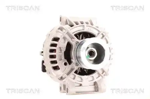 TRISCAN 8310 10181 TRISCAN 8310 10181