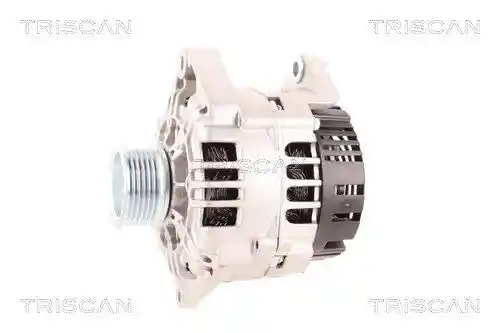 TRISCAN 8310 10185