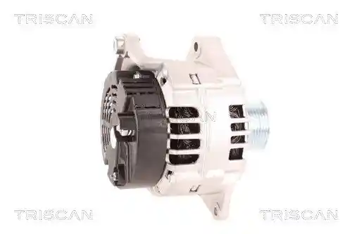 TRISCAN 8310 10185