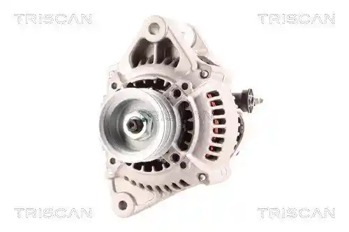 TRISCAN 8310 13003
