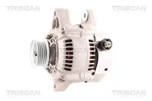 TRISCAN 8310 13003