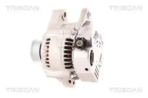 TRISCAN 8310 13003