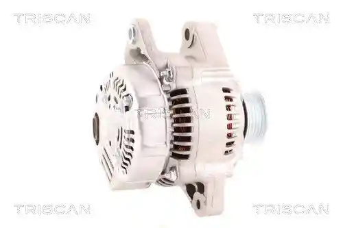 TRISCAN 8310 13003