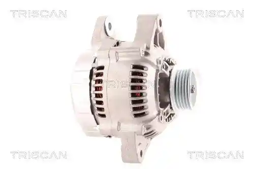 TRISCAN 8310 13003