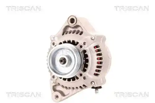 TRISCAN 8310 13011