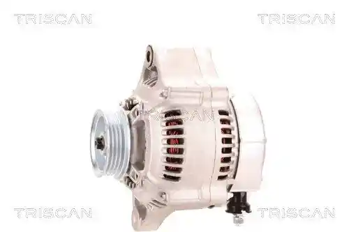 TRISCAN 8310 13011