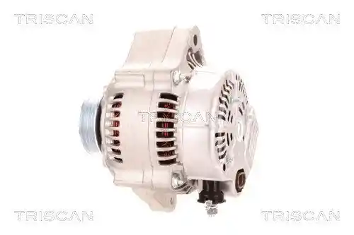 TRISCAN 8310 13011